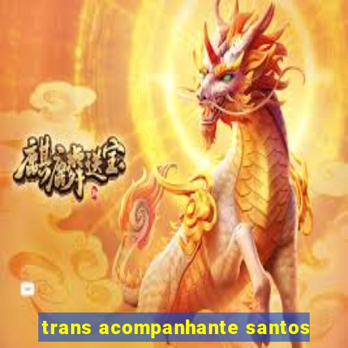 trans acompanhante santos